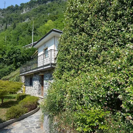 Little Dream House 아파트 바레나
